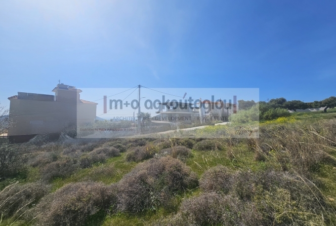 property-img